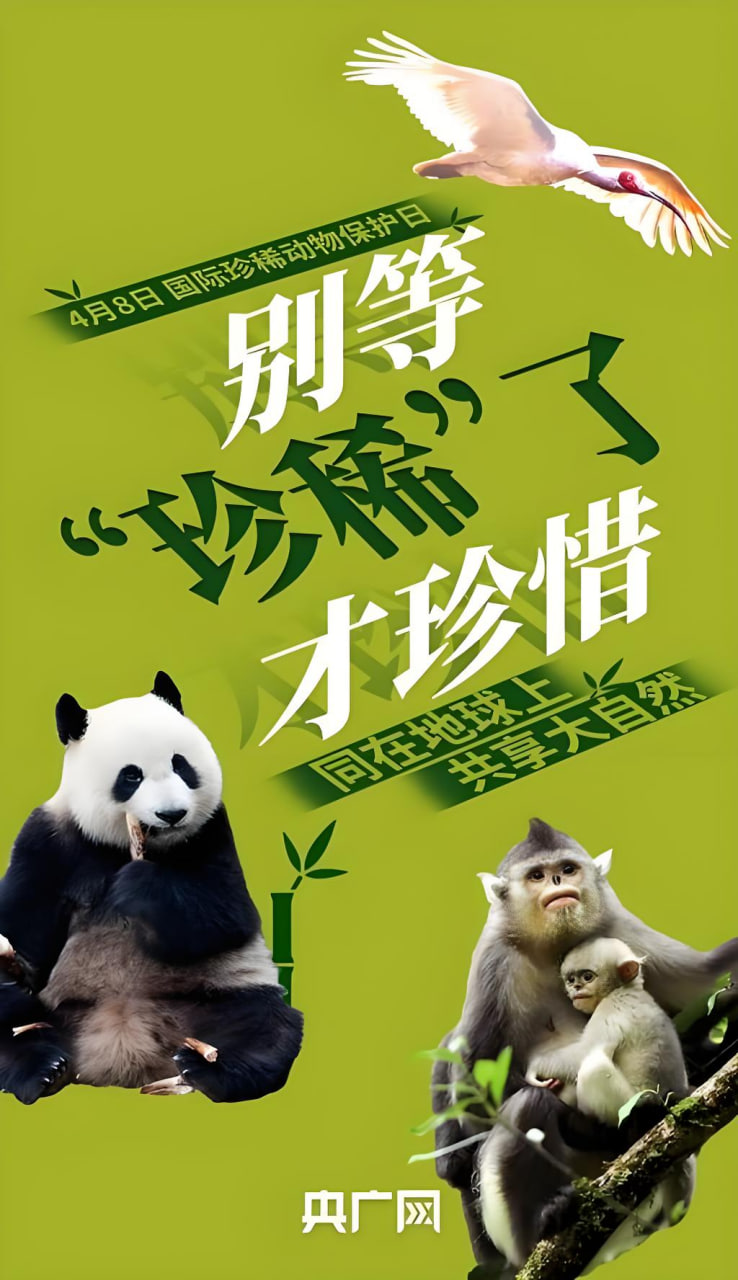 排名5综艺